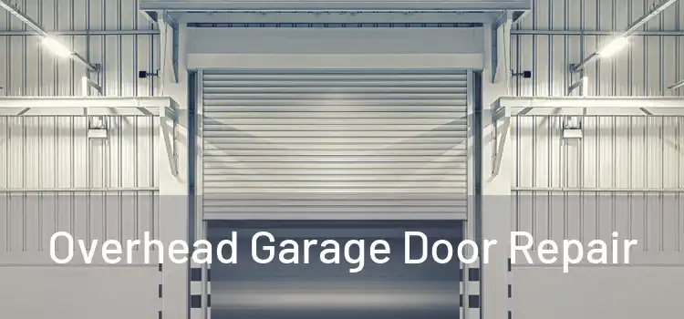  Overhead Garage Door Repair 
